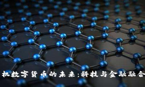 国产手机数字货币的未来：科技与金融融合的潮流