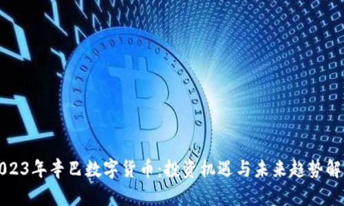 2023年辛巴数字货币：投资机遇与未来趋势解析