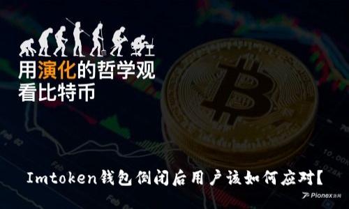 Imtoken钱包倒闭后用户该如何应对？