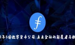 2023年B安数字货币公司：未