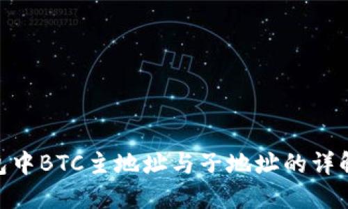 imToken钱包中BTC主地址与子地址的详解及使用技巧