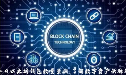 
今日以太坊钱包数量查询：了解数字资产的脉动