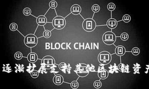 ImToken 钱包于 2016 年上线，是一款专注于数字资产管理的移动钱包。最初，它是为了便于用户存储和管理以太坊及其代币而开发的，后来逐渐扩展支持其他区块链资产，如比特币、EOS 等。ImToken 在发布后的发展过程中，凭借其用户友好的界面和安全性，迅速在数字资产管理领域获得了广泛的认可和使用。