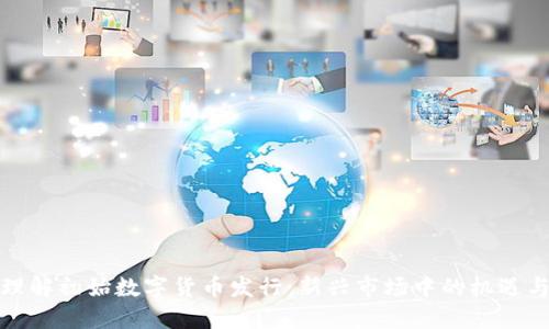 如何理解初始数字货币发行：新兴市场中的机遇与挑战