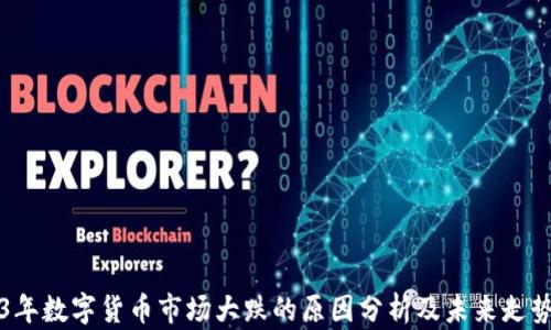 
2023年数字货币市场大跌的原因分析及未来走势展望