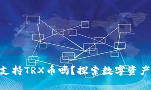 ### imToken钱包支持TRX币吗？探索数字资产的多样性与安全存储