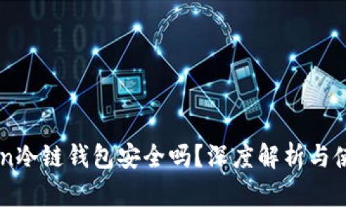 imToken冷链钱包安全吗？深度解析与使用指南