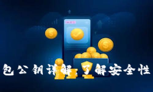 imToken钱包公钥详解：了解安全性与使用技巧