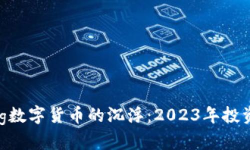 riaseng/riaseng数字货币的沉浮：2023年投资热潮与风险解析