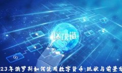 2023年俄罗斯如何使用数字