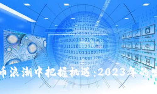 如何在数字货币浪潮中把握机遇：2023年的发展趋势与挑战