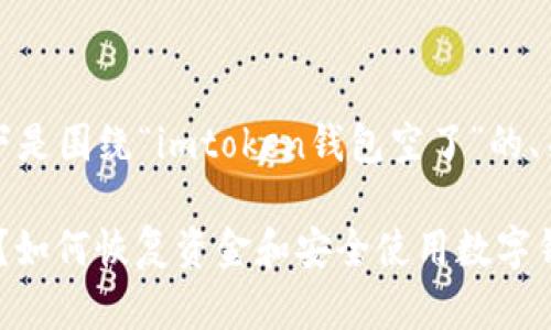 根据您的请求，以下是围绕“imtoken钱包空了”的、关键词及内容大纲。

imToken钱包空了？如何恢复资金和安全使用数字钱包的最佳实践