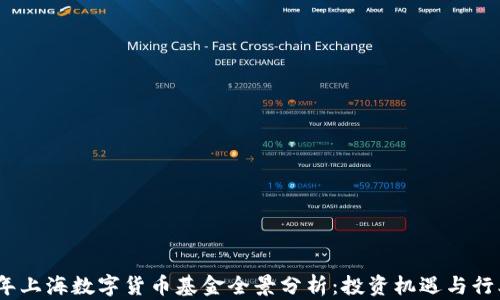 
2023年上海数字货币基金全景分析：投资机遇与行业趋势