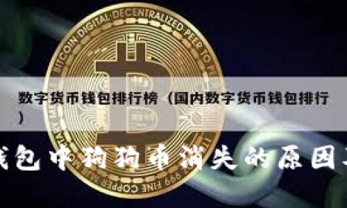 ImToken钱包中狗狗币消失的原因及解决方法