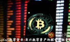 BabyCat数字货币：新兴数字