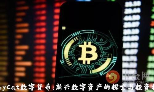 
BabyCat数字货币：新兴数字资产的探索与投资机会