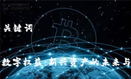 ### 与关键词


虚拟货币数字权益：新兴资产的未来与风险分析