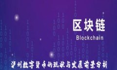 泸州数字货币的现状与发