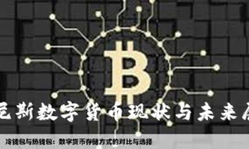 突尼斯数字货币现状与未来展望