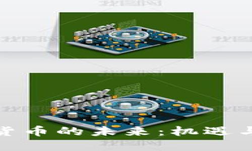 数字货币的未来：机遇与挑战