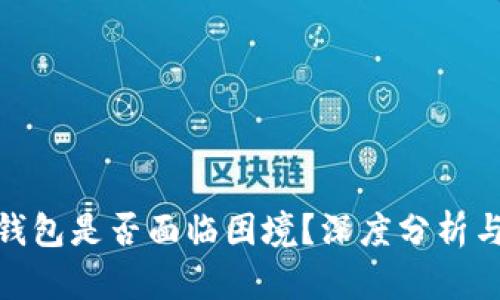 imtoken钱包是否面临困境?深度分析与未来展望