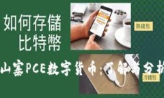 山寨PCE数字货币：了解与