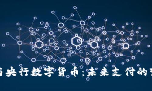 支付宝与央行数字货币：未来支付的变革之路