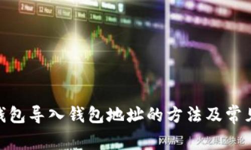 imToken钱包导入钱包地址的方法及常见问题解析