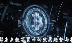 成都未来数字货币的发展