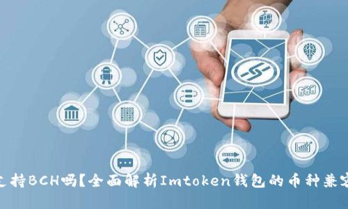 Imtoken钱包支持BCH吗？全面解析Imtoken钱包的币种兼容性与使用体验