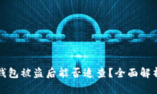 以太坊钱包被盗后能否追查？全面解析与应对
