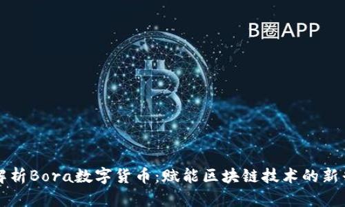 全面解析Bora数字货币：赋能区块链技术的新兴力量