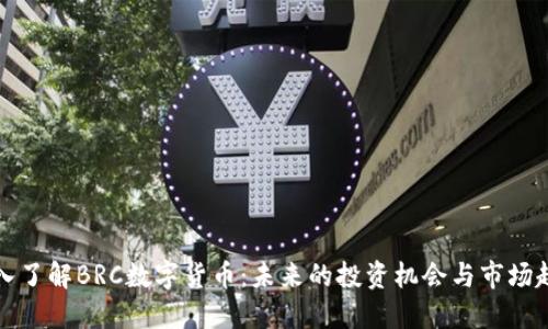 深入了解BRC数字货币：未来的投资机会与市场趋势