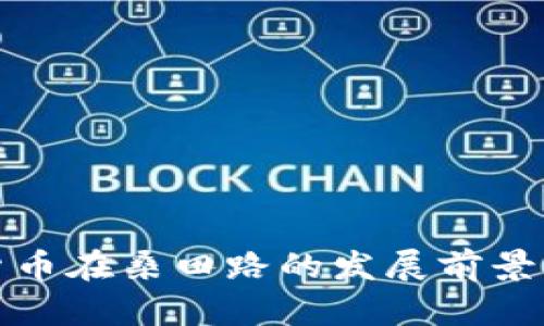 数字货币在桑田路的发展前景与挑战