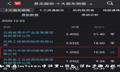 如何在imToken中设置u钱包：详细步骤与技巧