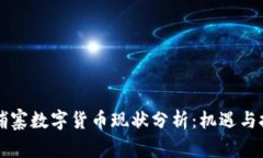 柬埔寨数字货币现状分析