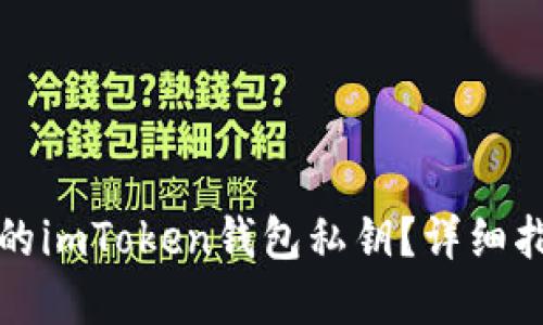 如何找回丢失的imToken钱包私钥？详细指南与解决方案
