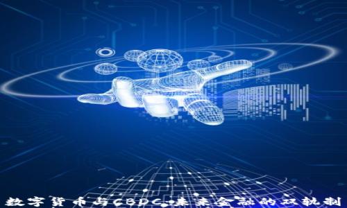 
数字货币与CBDC：未来金融的双轨制