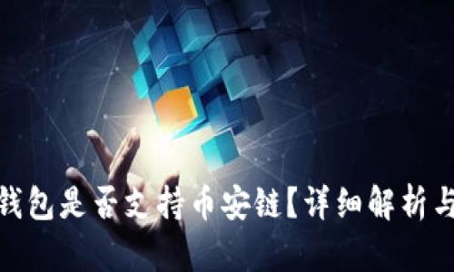 imToken钱包是否支持币安链？详细解析与使用指南