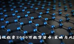 如何有效投资2000万数字货