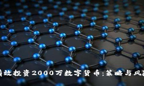 如何有效投资2000万数字货币：策略与风险分析