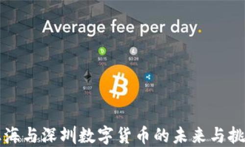 
上海与深圳数字货币的未来与挑战