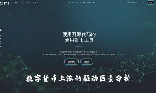 数字货币上涨的驱动因素分析