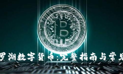 如何领取罗湖数字货币:完整指南与常见问题解答