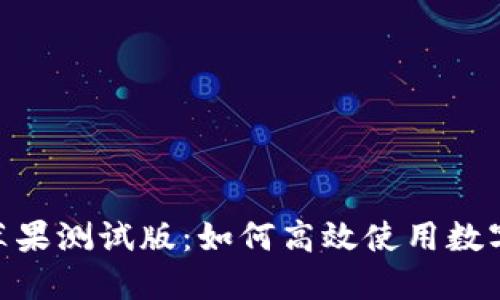 imToken钱包苹果测试版：如何高效使用数字资产管理工具