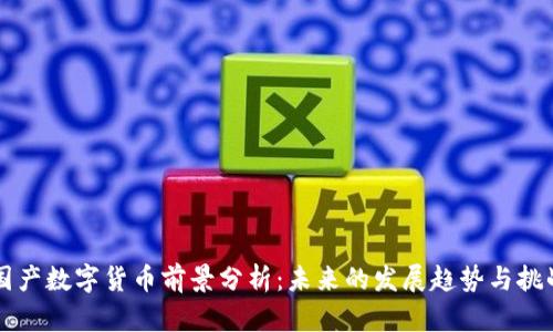 国产数字货币前景分析：未来的发展趋势与挑战