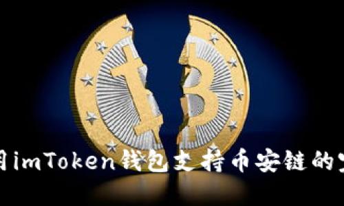 如何使用imToken钱包支持币安链的完整指南