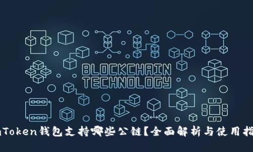 imToken钱包支持哪些公链?全面解析与使用指南