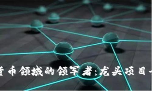 数字货币领域的领军者：龙头项目全解析