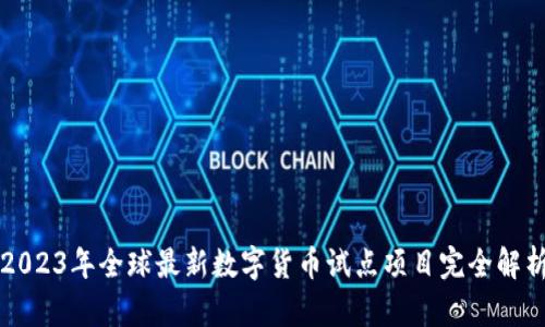 2023年全球最新数字货币试点项目完全解析